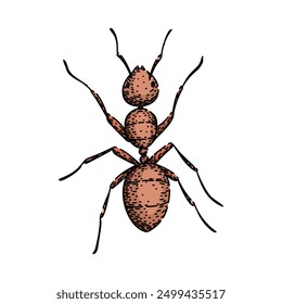 nest ant hand drawn. foraging insect, antennae mandibles, thorax abdomen nest ant vector sketch. isolated color illustration