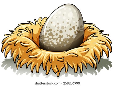 Nest with a big egg on a white background