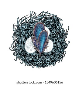 Nest with bird eggs and feathers. Vector illustration. Poster or banner. Postcard for Easter. Offspring of wild birds. Printing Souvenirs, fabrics. Congratulations for the holiday. Sticker.