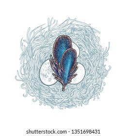 Nest with bird eggs and feathers. Vector illustration. Poster or banner. Postcard for Easter. Offspring of wild birds.