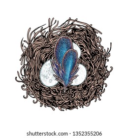 Nest with bird eggs and feathers. Vector illustration. Poster or banner. Postcard for Easter. Offspring of wild birds.