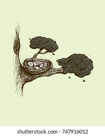 Nest of a bird with eggs on a tree branch. Tree branch. Vector illustration