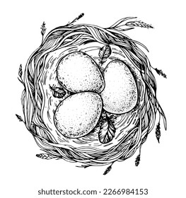 Nest with bird eggs sketch. Hand drawn vector illustration. Easter eggs.
