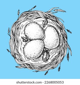 Nest with bird eggs sketch. Hand drawn vector illustration. Easter eggs.