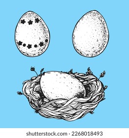 Nest with bird eggs sketch. Hand drawn vector illustration. Easter eggs.