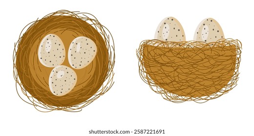 Nest of the bird with legs, top view, side view, flat design.