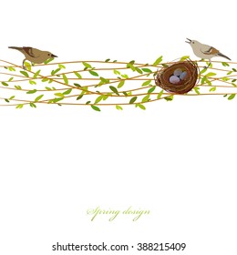 Nest with birds. Spring background with willow branches, nest, birds and eggs. Horizontal osier twigs border on white background isolated design vector illustration