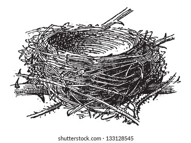 Nest of the Blackcap or Sylvia atricapilla, made up of twigs,grass,leaves, vintage engraved illustration. Dictionary of Words and Things - Larive and Fleury - 1895