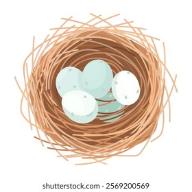 Nest with blue eggs top view. Vector isolated illustration.