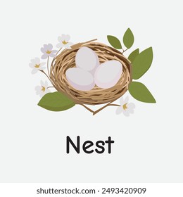 Nest Cartoon Vector Illustration for Kids Learning, Posters, Cards, and Sublimation Prints on White Background