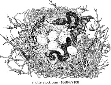 Nest coiled in the branches of a tree. The serpent hatches from the egg. Newborn dragon. Hand drawn detailed ink pen mythological illustration. T-shirt print, tattoo design, fairytale illustration.