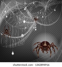 Nest of dangerous and scarifying spiders 3d realistic vector with poisonous big and small arthropods hanging on web string, climbing on lace with hunted and wrapped preys or egg cocoons illustration