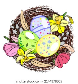 Nest with Easter eggs, daffodils, tulips and feathers. Illustration in vector.