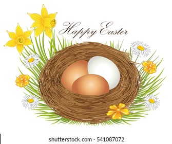 Nest with easter eggs and spring time flowers