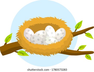 Nest and egg. Bird house. Place for Chicks. Tree branch with leaves. Cartoon flat illustration. element of nature and forests. Wildlife. Blue background