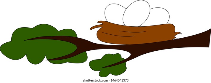 Nest with eggs, illustration, vector on white background.