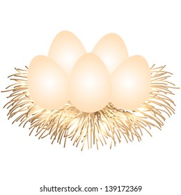 Nest with eggs isolated on a white background