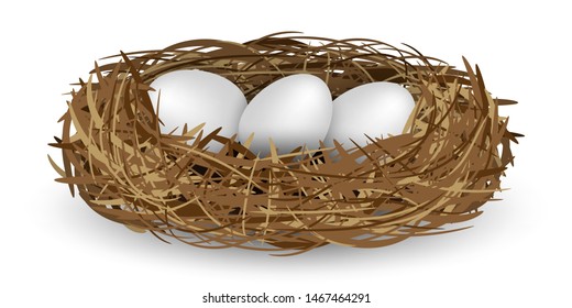 Nest with eggs isolated on white background. Vector illustration.