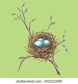 Nest with eggs on a branch. Hand-drawn vector illustration