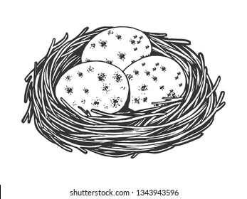 Nest with eggs sketch engraving vector illustration. Scratch board style imitation. Black and white hand drawn image.