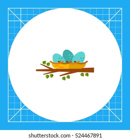 Nest Flat Icon