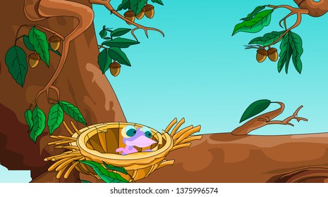 Nest with lovely baby bird