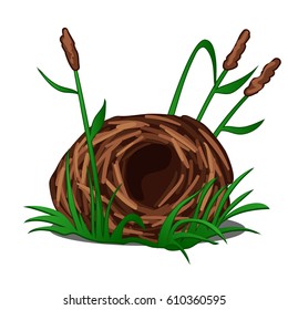 Nest of Marsh Warbler (Acrocephalus palustris) isolated on white background. Vector cartoon close-up illustration.
