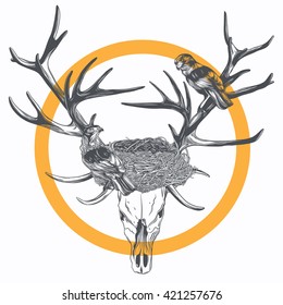 nest on the bones
