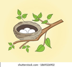 Nest on a branch with two eggs