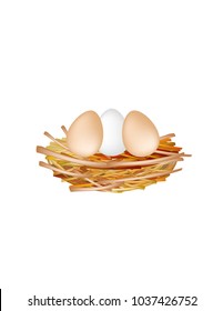 Nest on a white background