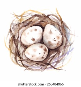 Nest with quail eggs vector isolated