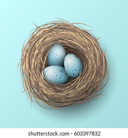 Nest with spotted blue eggs on blue background, vector illustration, eps 10 with transparency and gradien meshes