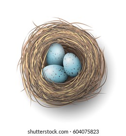 Nest with spotted blue eggs on white background, vector illustration, eps 10 with transparency and gradien meshes