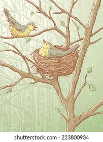 nesting birds