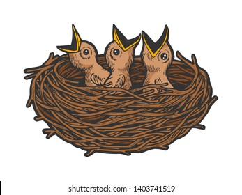 Nestling bird in nest color sketch line art engraving vector illustration. Scratch board style imitation. Black and white hand drawn image.
