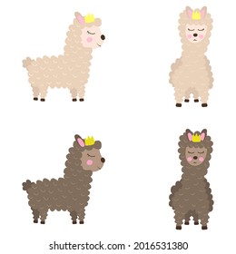  Net cute llamas sideways and in front with a crown
