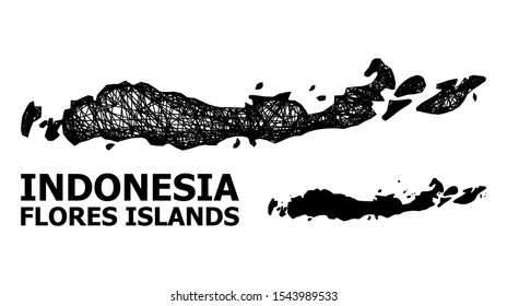 Net vector map of Indonesia - Flores Islands. Linear frame flat mesh in vector EPS format, geographic template for educational illustrations.