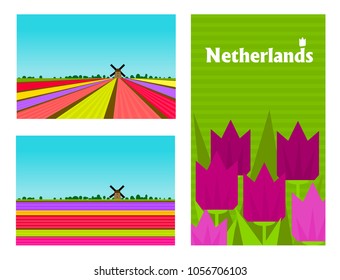 Netherland rural colorful landscape with flower (tulips and hyacinths) fields. Poster, card templates in flat style.