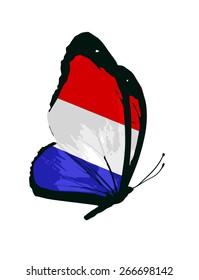 Netherlands flag butterfly - vector