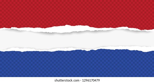 Netherlands flag created from ripped paper strips are on white background for text