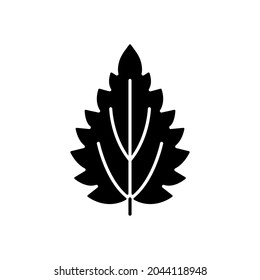 Nettle black glyph icon. Alternative medicine. Herbal ingredient for homeopathy. Common toxic allergen. Allergy for plant. Silhouette symbol on white space. Vector isolated illustration