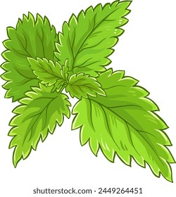 Nettle Branch Colored Detailed Illustration.