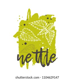 Nettle concept design. Hand drawn vector illustration. Herbs and spices. Can be used for farmers market, food festival, menu, cafe, restaurant, bar, poster, banner, emblem, sticker, placard.