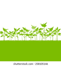 Nettle field vector background ecology green concept