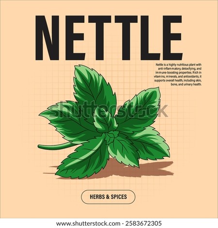 Nettle Herb Premium Vector Clipart High-Quality Illustration for Cooking Branding and Packaging