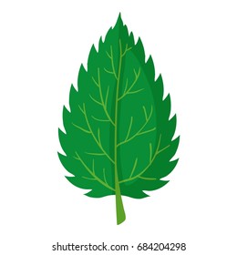 Nettle leaf icon, cartoon style