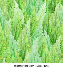 Nettle leaves, bright seamless pattern