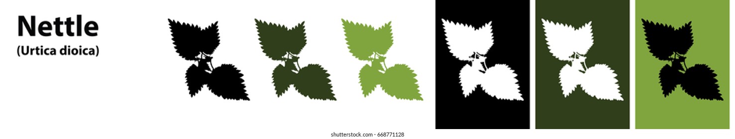 Nettle Leaves Vector Different Colors