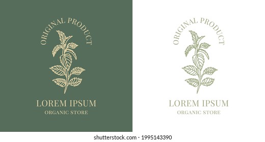 Nettle Plant Logo. Vector Illustration Medical Herb.