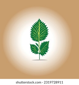 Vector de planta de Nettle en color verde sobre fondo marrón